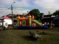 /album/fotogaleria-casa-de-la-juventud-chigorodo/inflable-jpg/
